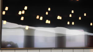 DSCN0808