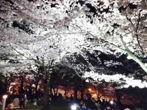 写真9
